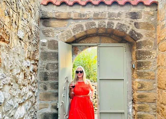 度假居 Old Mansion *